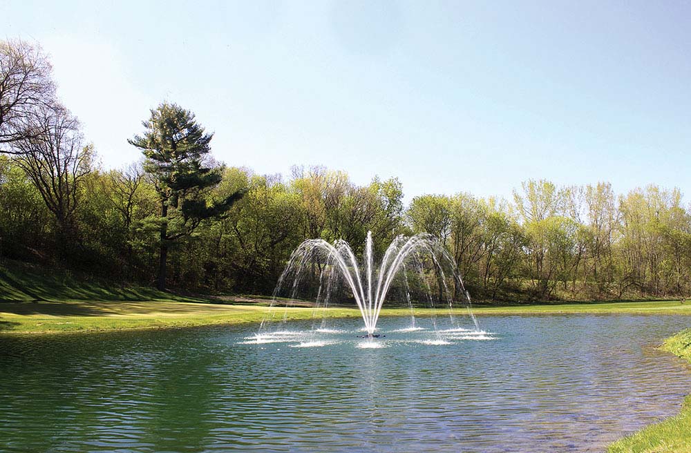 Kasco Standard Pattern Palm Fountain